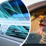 Το κύμα καύσωνα χτυπά την Ουκρανία: πώς να δροσίσετε γρήγορα