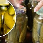 Γιατί οι κονσέρβες αγγουριών είναι μαλακές: ένα μυστικό πρόσθετο θα
