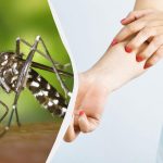 Επικίνδυνο κουνούπι εμφανίστηκε στην Ουκρανία: εντομολόγος είπε ποιες ασθένειες μεταφέρει