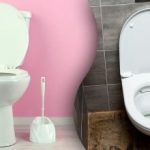 Η λεκάνη της τουαλέτας γυαλίζει μέσα σε λίγα λεπτά: ένας