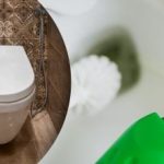 Η λεκάνη της τουαλέτας θα καθαρίσει μόνη της κυριολεκτικά μπροστά