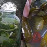 Τι να βάλετε στα τουρσιά: συνταγή για αγγούρια από τη