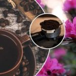 Τι προσθέτουν οι έμπειροι κηπουροί στο χώμα μετά το πρωινό