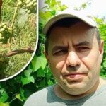 Το μυστικό του Αυγούστου: ένας κηπουρός είπε πώς να κάνει